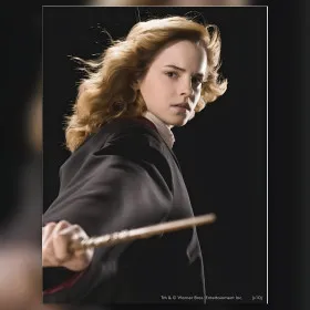 Hermione Granger diamant borduurwerk heks blik glinsterende steentjes doek