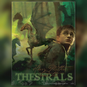 Harry Potter and Thestrals diamond painting canvas shiny rhinestones