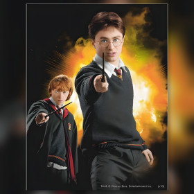 Harry en Ron met toverstokken explosieve achtergrond diamant schilderij glinsterende steentjes