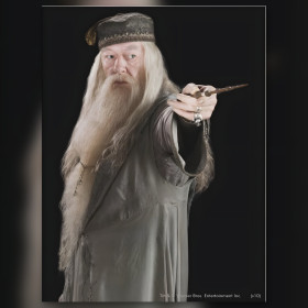 Diamond painting Albus Dumbledore portret hoofdmeester Zweinstein glanzende steentjes