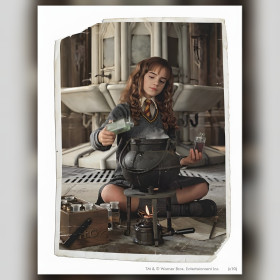 Hermione Granger prepara pozione con strass brillanti diamond painting