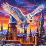 Hedwig met brief boven besneeuwde torens van Zweinstein