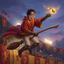 Harry Potter Vangt De Gouden Snaai
