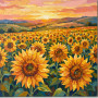 Weites Sonnenblumenfeld im goldenen Abendlicht