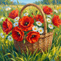 Weidenkorb mit roten Mohnblumen und weißen Gänseblümchen