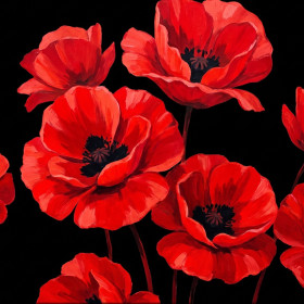 Coquelicots rouges éclatants sur fond noir