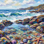 Rock Pool With Crabs Starfish And Shells