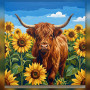 Vache Highland au milieu des tournesols d'été