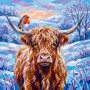 Mucca delle Highlands con pettirosso su corno ghiacciato