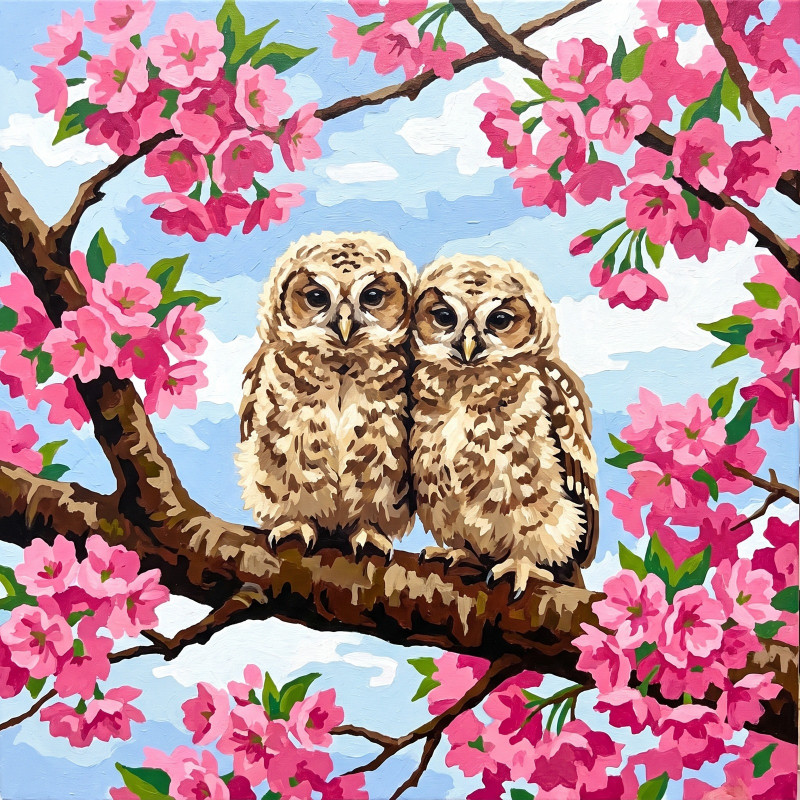 Blossom Branch Owlets