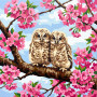 Blossom Branch Owlets