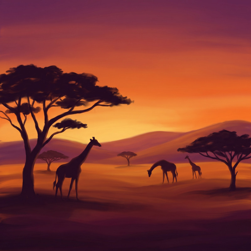 Coucher de soleil sur la savane aux acacias