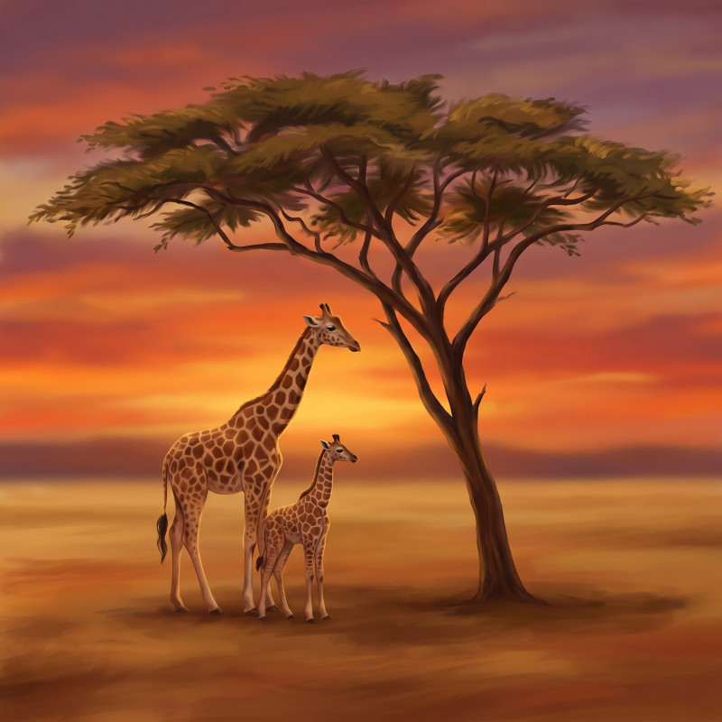 Giraffenmutter mit Kalb im Abendlicht