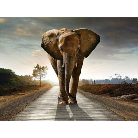 Pittura con diamanti Elefante sulla strada del sole Diamond Painting Elefante