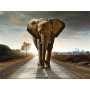  Olifant op weg naar de zon Diamond Painting Olifant