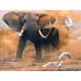 Olifant, kolos van de savanne Diamond Painting Olifant