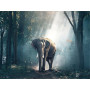  Olifant in het betoverde bos Diamond Painting Olifant