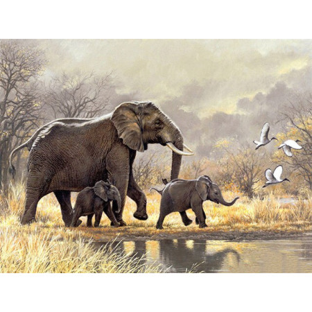  Elephant Family in the Savannah Diamond Painting Elephant