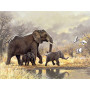 Famille d'Éléphants dans la Savane Broderie Diamants Eléphant