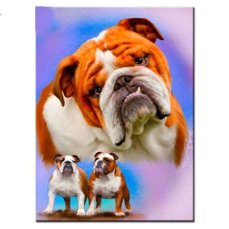  Witte en bruine bulldog Diamond Painting Honden