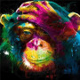  Chimpansee droom van kleuren Diamond Painting Apen