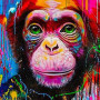  Singe aux Yeux d'Émeraude Diamond Painting Singes