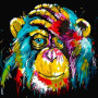  Gekleurde Wijsheid Aap Diamond Painting Apen