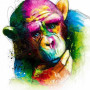  Singe Pensif Aquarelle Diamond Painting Singes