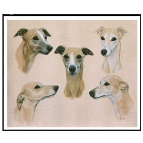 Diamantmalerei Windhundstudie Diamond Painting Hunde