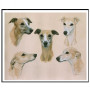  Greyhound Study Diamond Painting Dogs