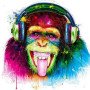 Pittura a diamante Scimmia DJ Pop Art Diamond Painting Scimmie