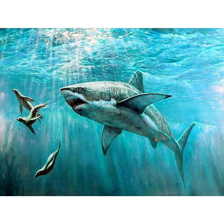  Megalodon on the Hunt Diamond Painting Fish