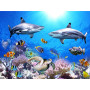  Squali e amici Diamond Painting Pesci
