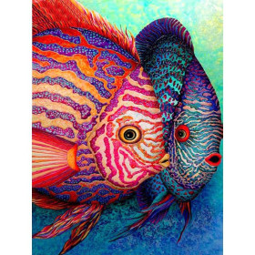  Kleurrijk Discus Fish Duo Diamond Painting Vissen