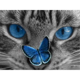  Le Regard Azur Diamond Painting Chats