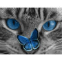  Cat: Lo sguardo azzurro Diamond Painting Gatti