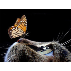  La Douce Rencontre Diamond Painting Chats