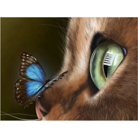  Le Reflet du Papillon Diamond Painting Chats