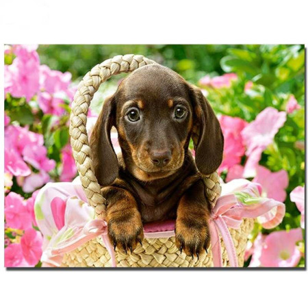  Cucciolo di bassotto in un cesto di fiori Diamond Painting Cani