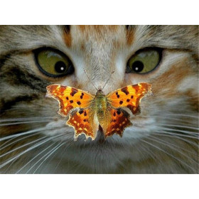  La Visite Inattendue Diamond Painting Chats