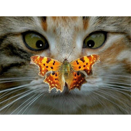  La Visite Inattendue Diamond Painting Chats