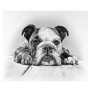  Bulldog inglese, ritratto a matita Diamond Painting Cani