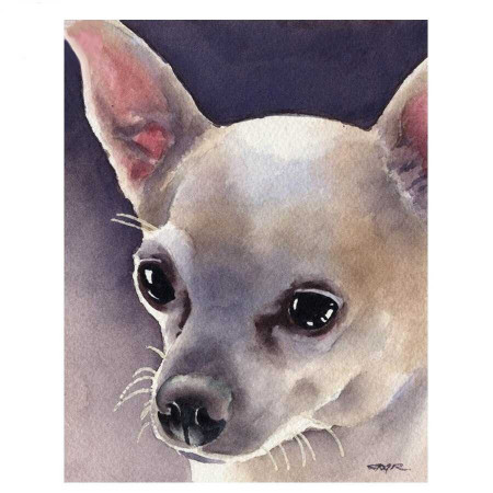  Chihuahua, Sweet Look Diamond Painting Dogs