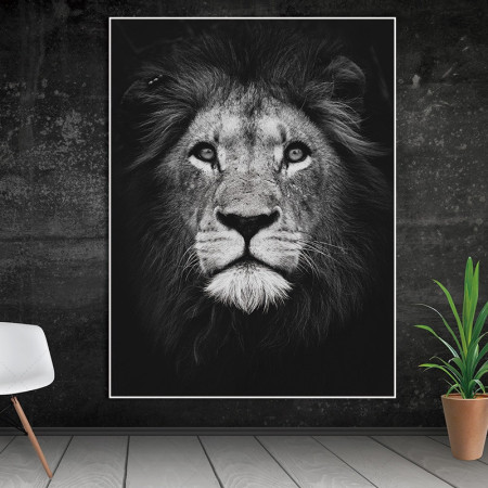  Lion, Royal Gaze in Black and White Diamond Painting Kits Lions & Tigers