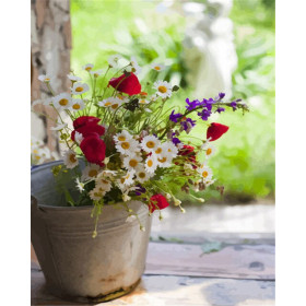 Bouquet di Fiori Selvatici in un Vaso di Terracotta