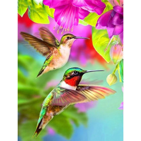  Flight of the Hummingbirds Bird Diamond Painting