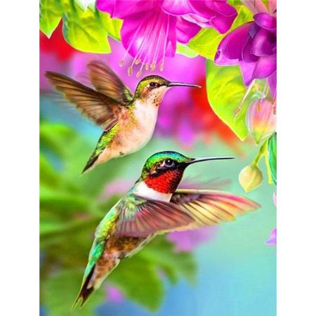  Der Flug der Kolibris Diamond Painting Vögel