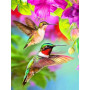  Le Vol des Colibris Diamond Painting Oiseaux