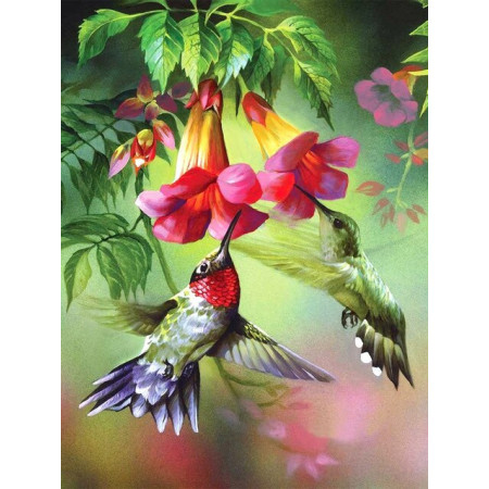  Le Festin des Colibris Diamond Painting Oiseaux