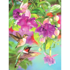 Pittura con diamanti Colibrì e fucsie Diamond Painting Uccelli